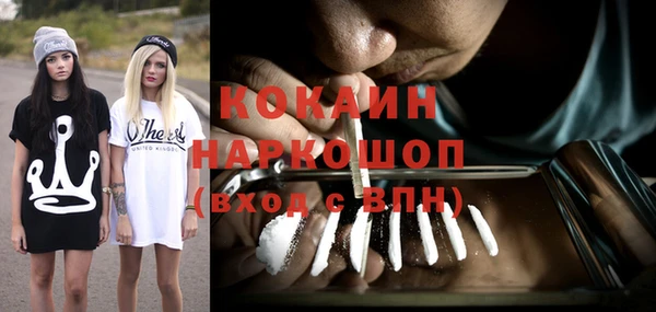 индика Алзамай