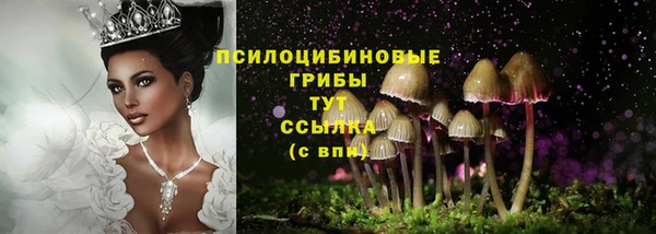 индика Алзамай