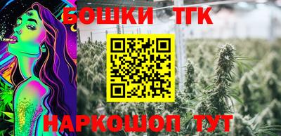 гашик Абинск