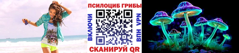MEGA ССЫЛКА  сколько стоит  Анапа  Псилоцибиновые грибы Psilocybe 