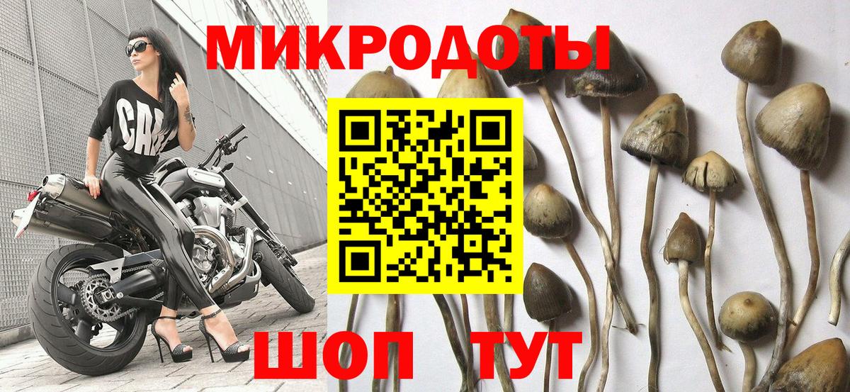 Галлюциногенные грибы ЛСД Анапа
