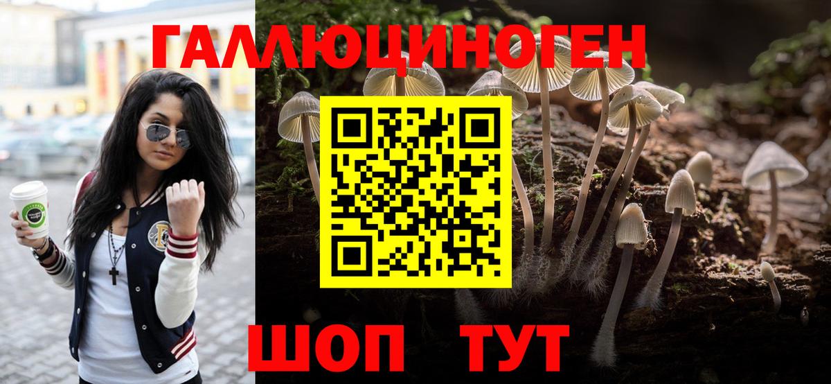 Анапа  Галлюциногенные грибы мицелий  Вход с VPN 