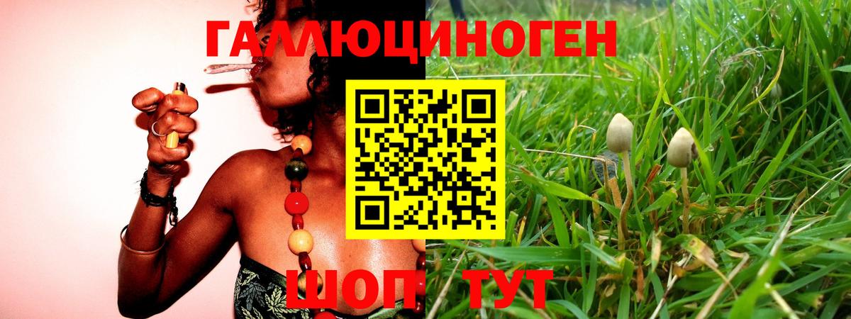 Галлюциногенные грибы MAGIC MUSHROOMS  Анапа 