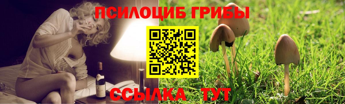 Галлюциногенные грибы Psilocybine cubensis Анапа