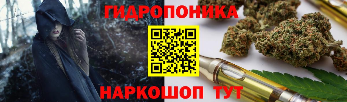 Бошки Шишки планчик Анапа
